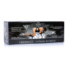 Banc Obedience Extreme Sex master Series 127 x 70cm