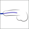 Lot de 3 tiges d'urètre silicone Bleues 16cm - Diamètre 7-12mm
