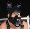 PUPPY SET OREILLES ET LANGUE EN CUIR VIOLET