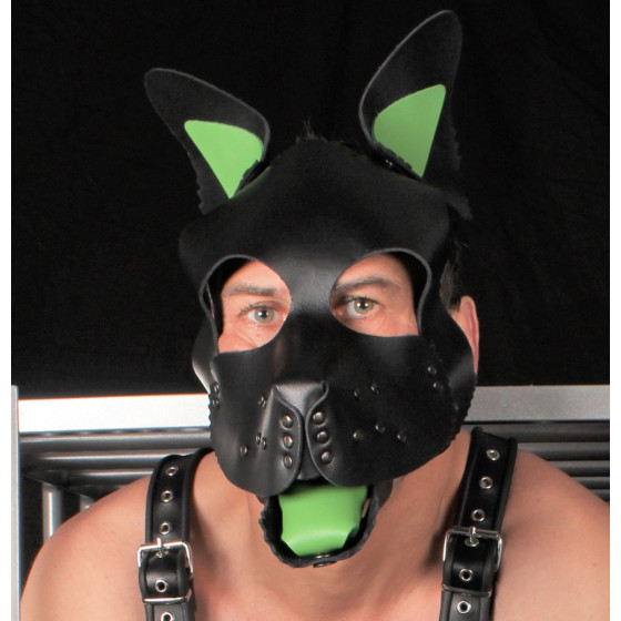 PUPPY SET OREILLES ET LANGUE EN CUIR VERT