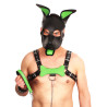 PUPPY SET OREILLES ET LANGUE EN CUIR VERT