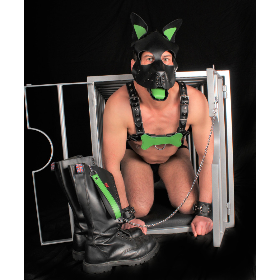 PUPPY SET OREILLES ET LANGUE EN CUIR VERT
