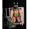 PUPPY SET OREILLES ET LANGUE EN CUIR VERT