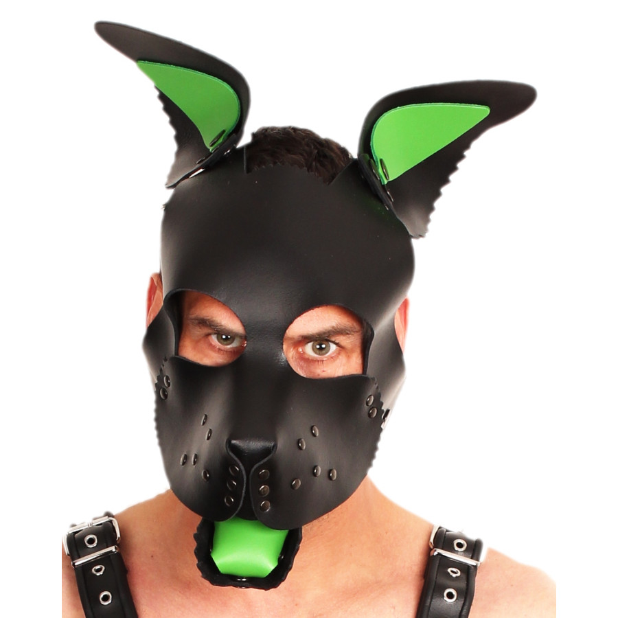 PUPPY SET OREILLES ET LANGUE EN CUIR VERT