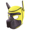 Cagoule PUPPY Néoprène Jaune-Noir