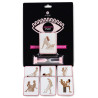 Jeu de cartes Kamasutra Memory 