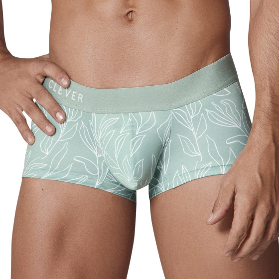 Boxer Creation Trunks Vert