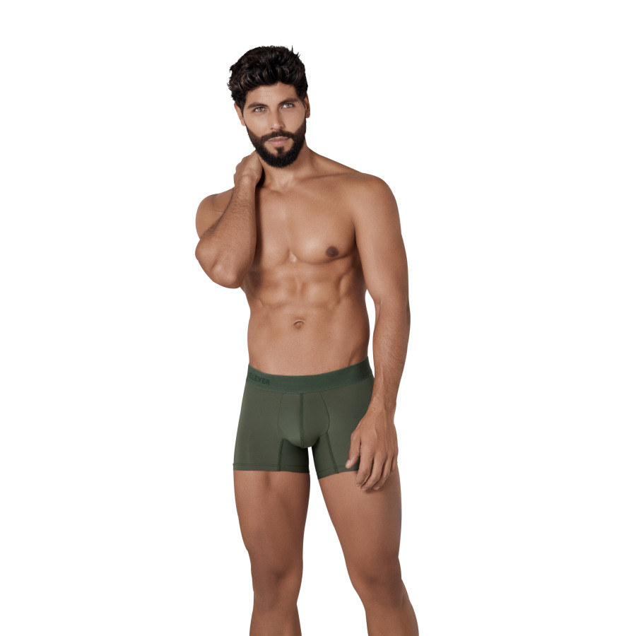 Boxer Basis Classic vert