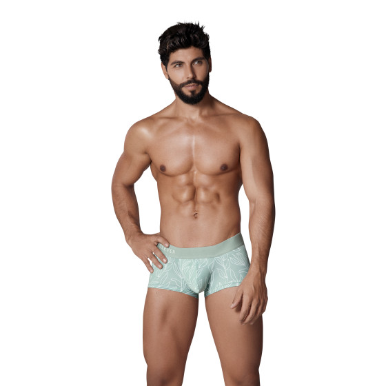 Boxer Creation Trunks Vert