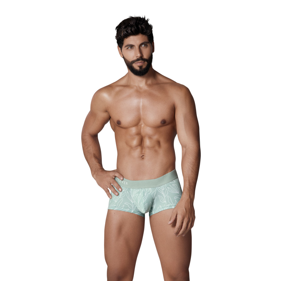 Boxer Creation Trunks Vert