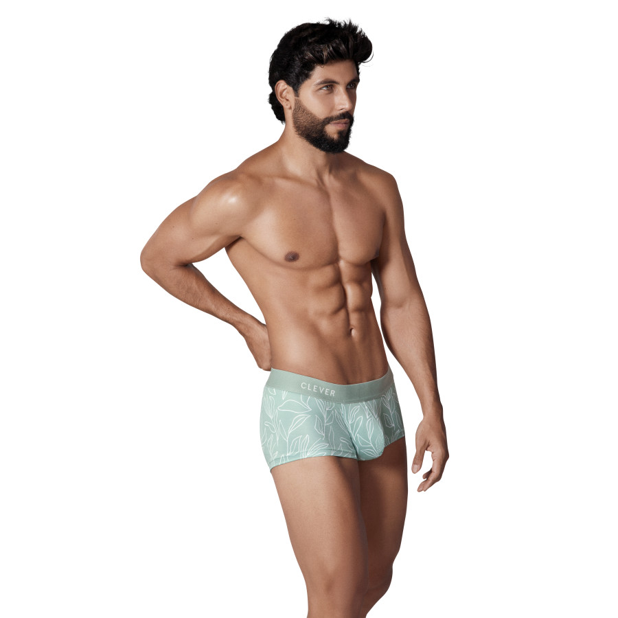 Boxer Creation Trunks Vert