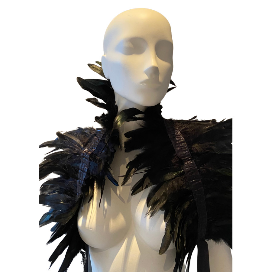 Couvre-Épaules Plumes Noir