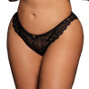 Culotte dentelle CLAIRE Grande Taille Noire