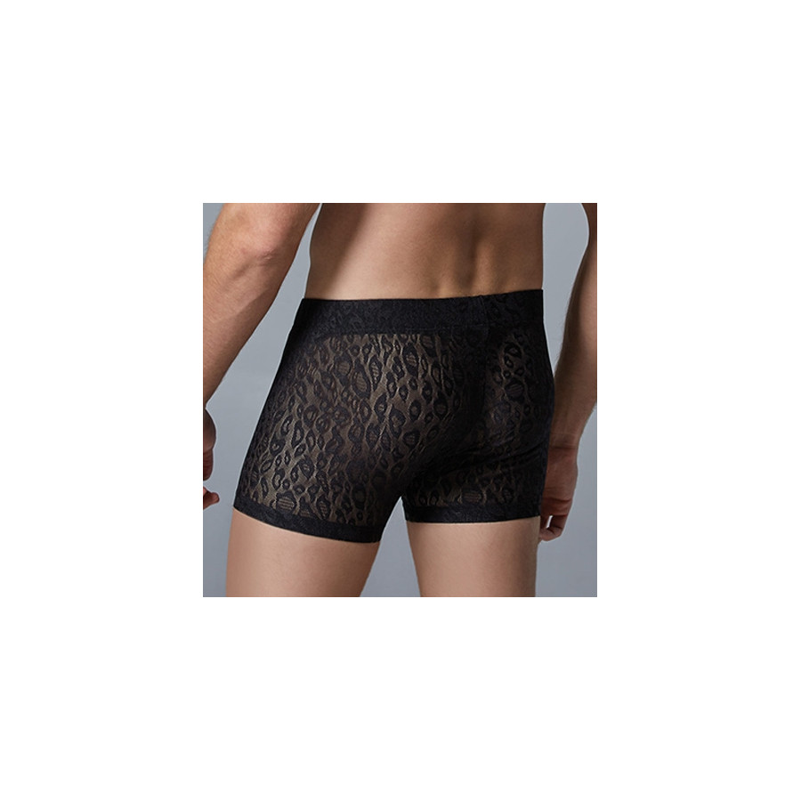 Boxer Dentelle LEOPARD Allure Noir