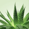 Gel de massage Nuru MixGliss Aloe Vera 150ml