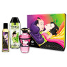 Kit de massage FRUITY KISSES Shunga