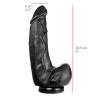 Gode XL Dildorama 20 x 6 cm