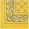 Bandana HANKY Code Fetish Jaune - Pisse