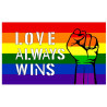 Drapeau Rainbow Love Always Wins 90 x 150cm