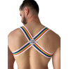 Harnais élastique Pride Eternity Blanc