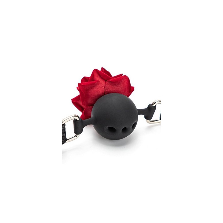 Baillon Boule avec Rose Bud Gag Rouge