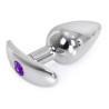 Plug Bijou anal avec base arrondie Curve 6 x 2.8 cm - Bijou Violet