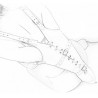 Camisole Strict Leather Fastens
