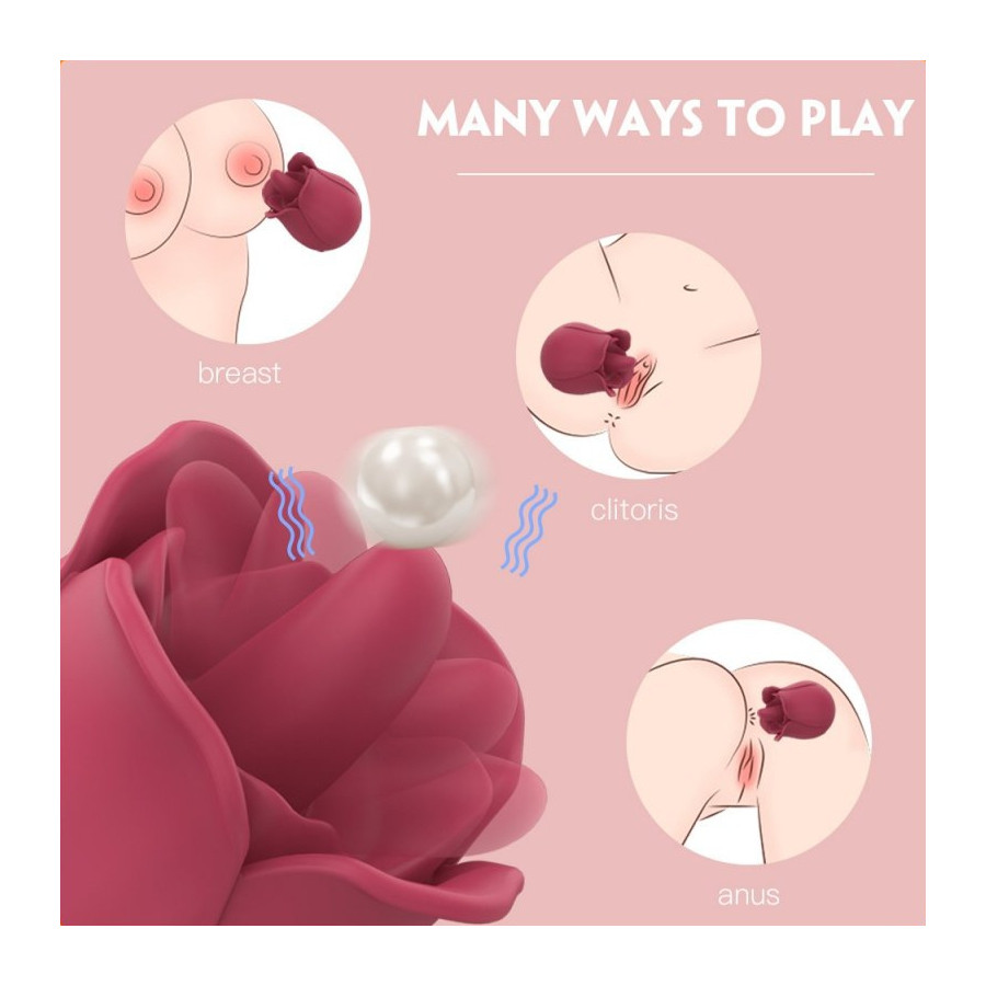 Accessoire Anulingus Rose Pro 4 - 9 Vibrations