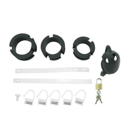 Cage de chasteté silicone Birdlocked 11 x 3.2cm Noire