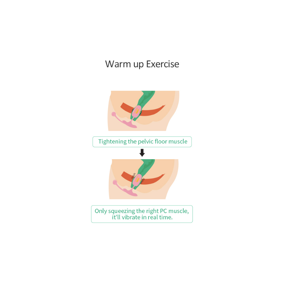 Oeuf vaginal connecté Kegel Coach 6 x 3cm