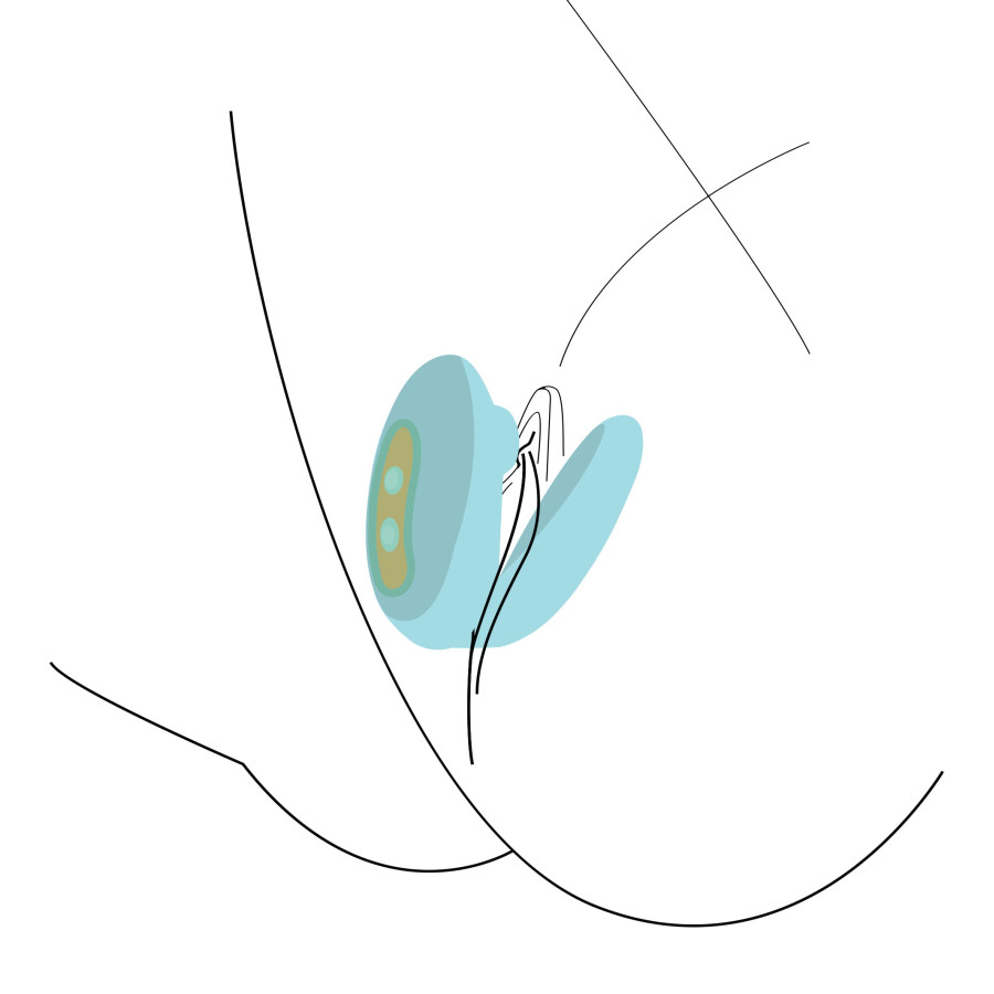 Stimulateur de clitoris ForePlay Vert