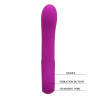  Vibromasseur Alston