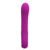  Vibromasseur Alston