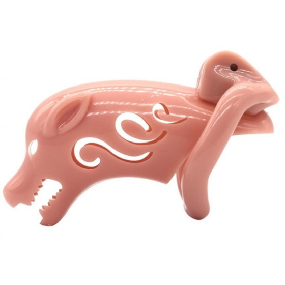 Cage de chasteté Pig Rough 10  x 3.5cm