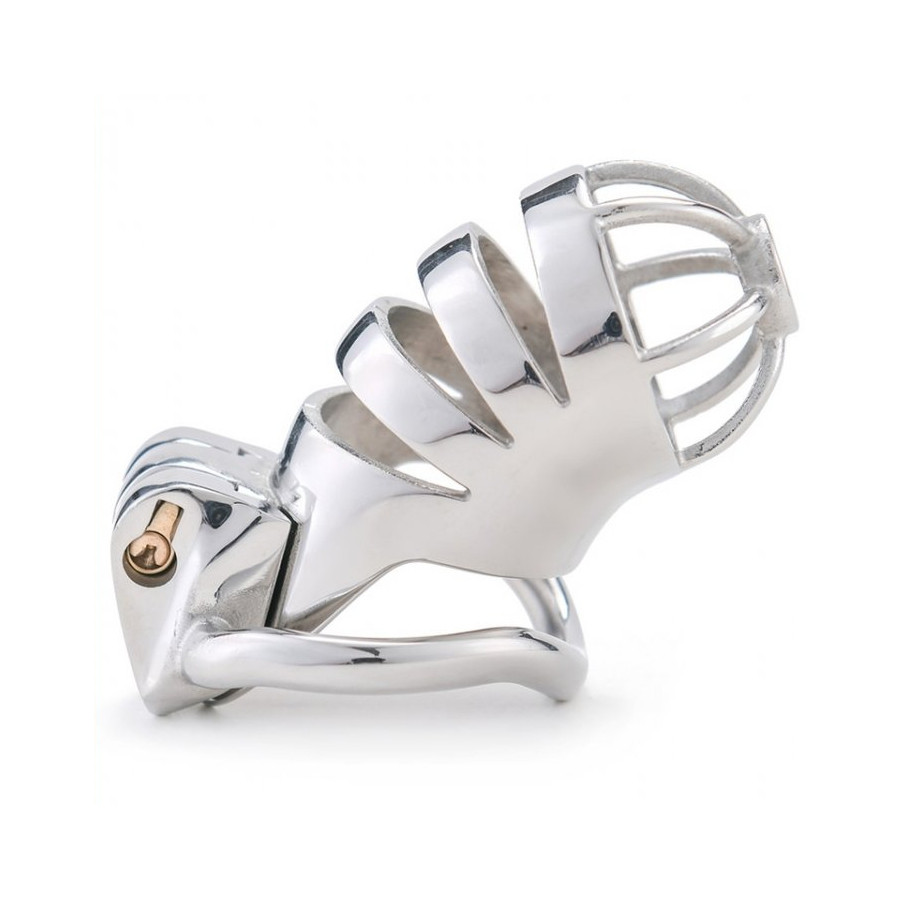 Cage de chasteté en métal Bird Up 8 x 3.3cm