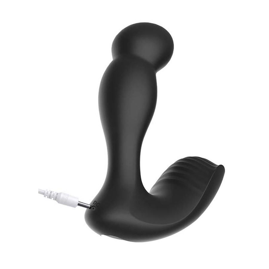 Stimulateur de prostate vibrant BurnToy 10 x 3.3cm