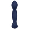 Stimulateur de prostate Expert Probe Viceroy 10 x 2.5cm