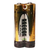 Lot de 2 piles LR03 (AAA)