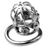 Cage de chasteté en métal Spike Cock 6 x 3.2cm