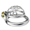 Cage de chasteté Sub Max 3.5 x 3.6cm