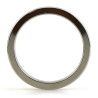 Cockring Thin Ring Gris