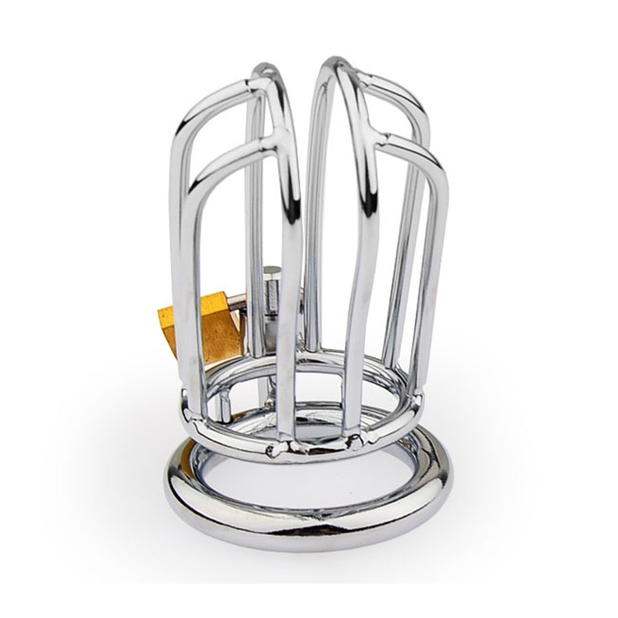 Cage de chasteté Lineale 9.5 x 3.5cm