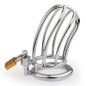 Cage de chasteté Lineale 9.5 x 3.5cm