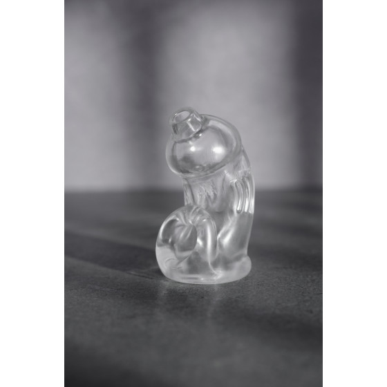 Cage de chasteté ManCage Modèle 29 - 9.5 x 3.2cm Transparente