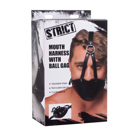 Masque de Bouche avec Baillon Boule