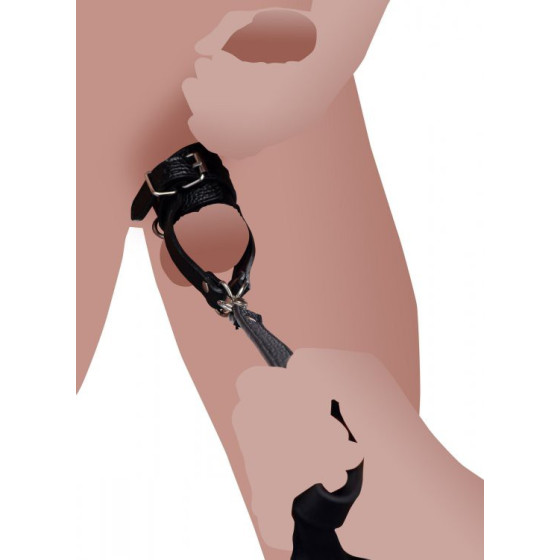 Ballstretcher avec une laisse