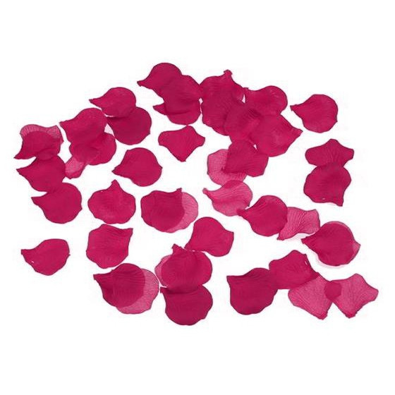 Fausses Pétales de Fleur x100 Fuchsia