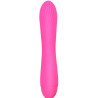 Vibro Torti 17 x 3.3cm Rose