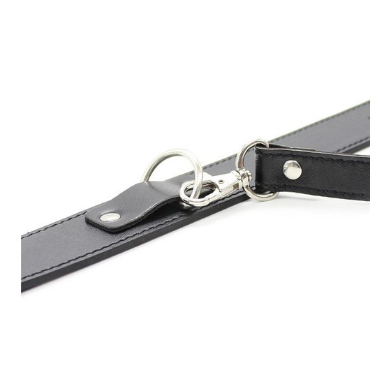 Collier Laisse Premium