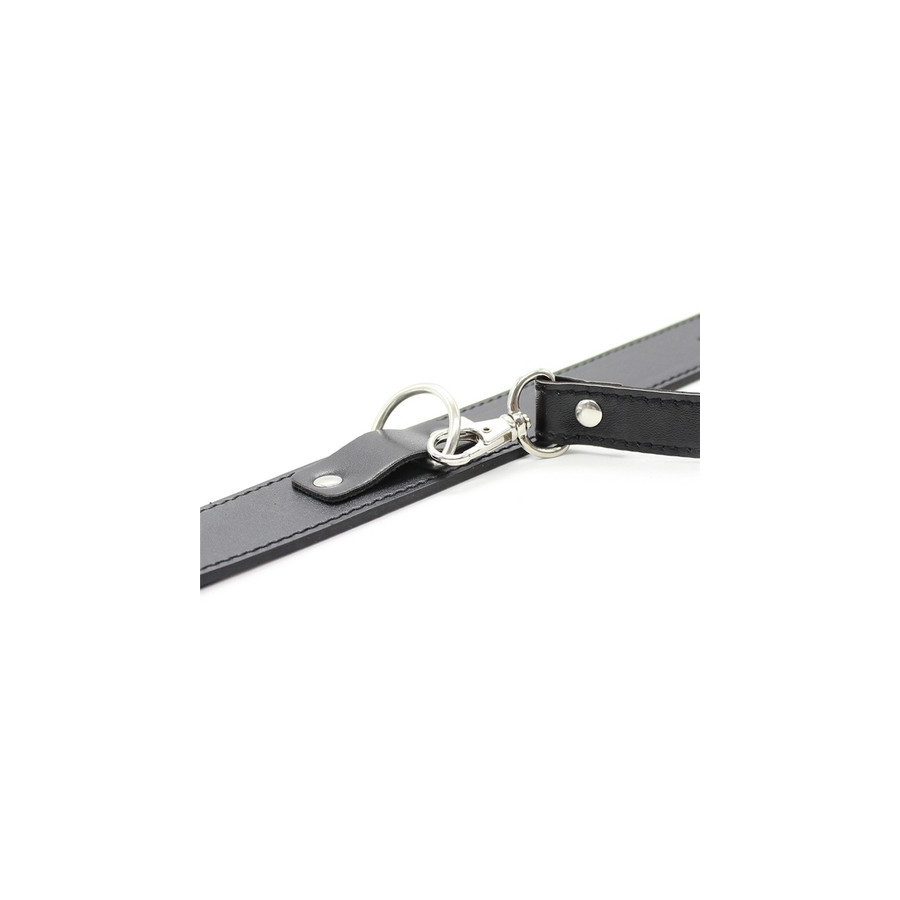 Collier Laisse Premium